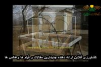 گلخانه ی کوچک من