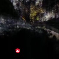 زیبایی خیره کننده جنگلهای هیرکانی شمال❤️