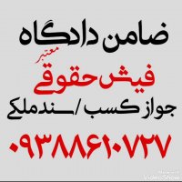 ضامن دادگاه فیش حقوقی 09388610727