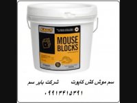 فروش سم موش بسیارقوی با ماندگاری بالا در بایر سم