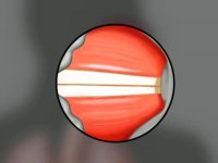 گفتاردرمانی در البرز   09121623463  فاز 1 مارلیک فلکه پنجم فرعی هفتم تیر  ششم