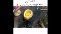 تخم مرغ کبابی زغالی