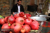 نخستین جشنواره انار در سروآباد