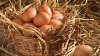 خواص جالب تخم مرغ