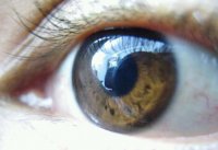 حکاکی روی سیب