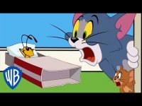 کارتون تام جری : مشکل با جیرجیرک