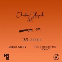 دانلود آهنگ جدید Milad Mrb - 25 Aban + میلاد ام آر بی به نام 25 آبان
