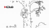 گربه سایمون - بهار