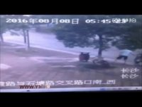 قطع درخت برای سرقت دوچرخه