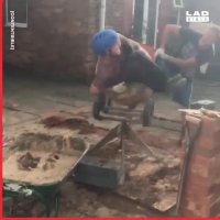 کلیپهای جالب از بازیگوشی به وقت کار