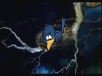 ووک، روباه کوچک