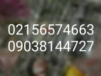 دستگاه هیدروگرافیک09195642293-وان هیدروگرافیک-پترن هیدروگرافیک