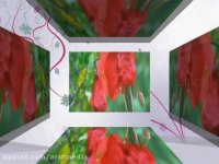 بهشت من " مختاباد "