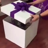 فروش دستگاه های :آبکاری / مخمل پاش / هیدروگرافیک/ شب نما فانتاکروم 09362022208