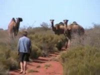 ماجراجویی در صحرای استرالیا