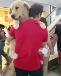 از پله برقی میترسه