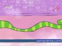 Funny Persian Animation_Giraffes انیمیشن حیات وحش، زرافه ها