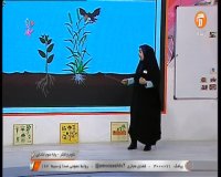 تدریس علوم سوم ابتدایی : شنبه 9 فروردین
