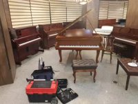 کوک پیانو بهترین کیفیت در ایران 09125633895