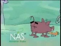 انیمیشن ایرانی حیات وحش حیوانات - انقراض