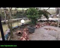 باغ پرندگان پرگل