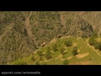 عثمان اورامی - ترانه ( تاقو تانیا ) فولکلور کردستان