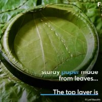 این صفحات از برگ ساخته شده است