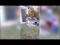 جالب - فقط برای خنده : جدید : جالب ترین و خنده دارترین صحنه ها- جدید