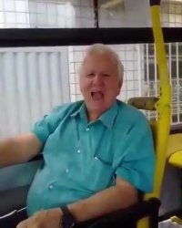 جی جی می خواد