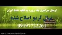 فروش نهال گردو کانادایی پیوندی 09123205271