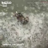 صید بی رحمانه ماهی با برق در آمریکا