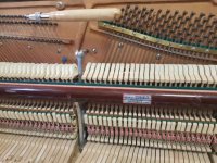 کوک  تعمیر و رگلاژ پیانو 09125633895