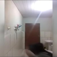 مثلا گربه آورده که موش بگیره