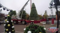 WinterFest Tree Timelapse - Carowinds