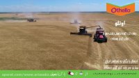 سم علف کش اوتللو | othello بهترین نابود کننده علف هرز گندم زمستانه