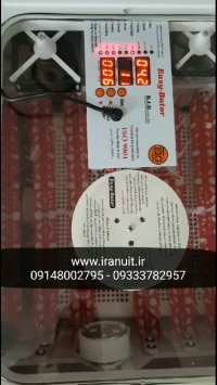 جوجه کشی خانگی  --09333782957--09148002795