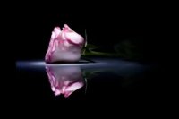 حمید عسگری  بارون