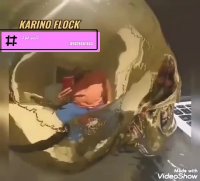 دستگاه مخمل پاش مخمل پاش صنعتی09028681853