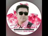 آهنگ جدید پیمان شیبانی به نام دل بیقرار