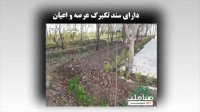 فروش 1300 متر باغ ویلای دوکله در بکه شهریار