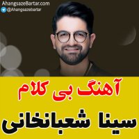 آهنگ خالی سینا شعبانخانی به نام هولم نکن