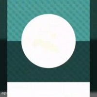 زمان برای هضم خوراکی ها