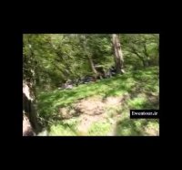 جنگل الیمستان