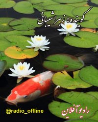 به دیدارم بیا هر شب .... مهدی اخوان ثالث