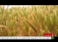 پل تاریخی شاه عباسی استان قزوین ایران