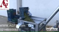 خط کامل روغن گیری زیتون با ظرفیت 200 کیلو در ساعت