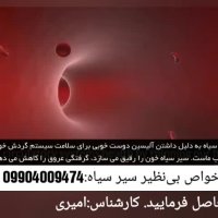 خواص بی‌نظیر درمانی سیر سیاه