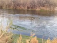 رودخانه آب شور قم