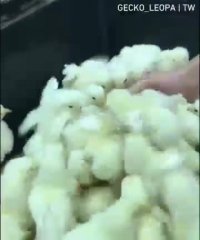 ‏وقتی تو مترو صندلی خالی میشه