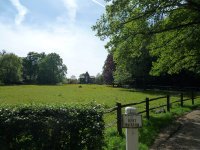 بهترین طبیعت گردی ای که میتوانید در بلژیک داشته باشید